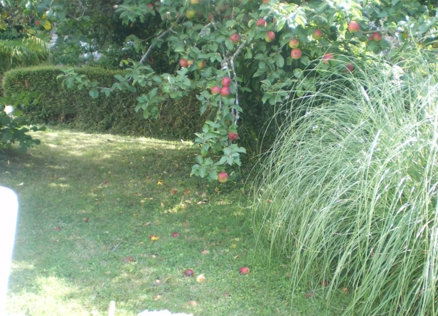 Residence De L'Esperance La Forêt-Fouesnant フランス